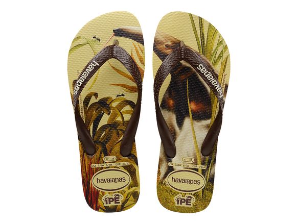 havaianas ipe